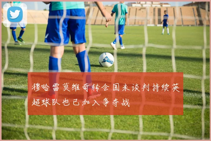 穆哈雷莫维奇转会国米谈判持续英超球队也已加入争夺战