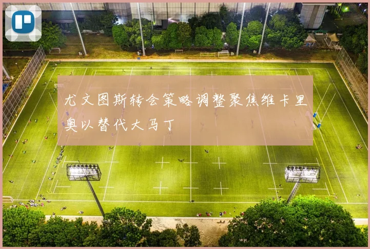 尤文图斯转会策略调整聚焦维卡里奥以替代大马丁